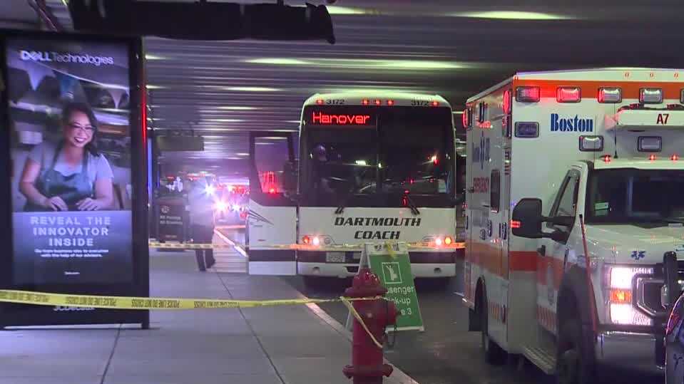 Logan Airport pedestrian struck by New Hampshire bus identified Logan Airport pedestrian struck by New Hampshire bus identified