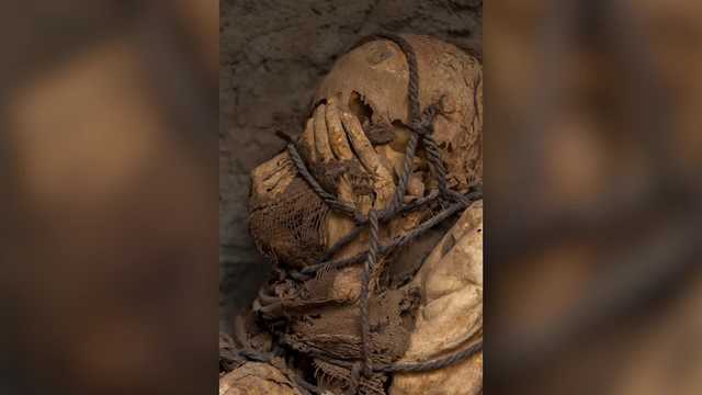 Peruvian mummy that's at least 800 years old found - Vimarsana News