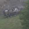 EV crashes, catches fire on Baltimore-Washington Parkway