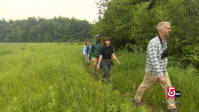 A western Mass. farm provides food aid to the community - Vimarsana News