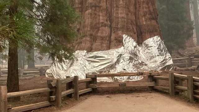 Generals Highway reopens between Sequoia, Kings Canyon - Vimarsana News