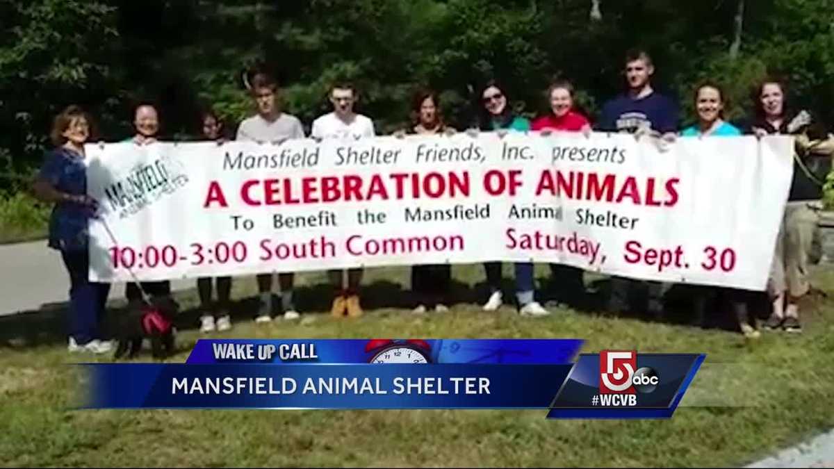 Wake Up Call from Mansfield Animal Shelter