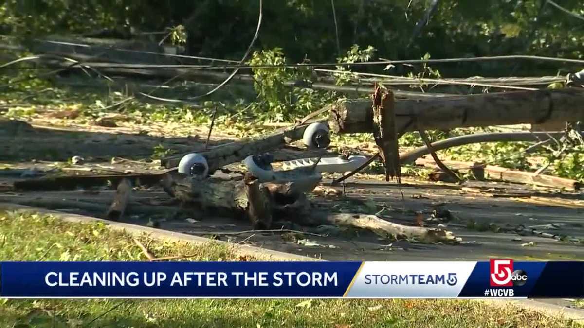 Cleanup continues after storm downs trees, power lines