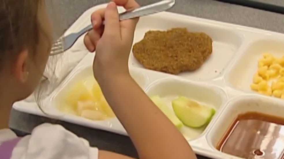 Omaha Public Schools gives free food through summer meals program - Vimarsana News