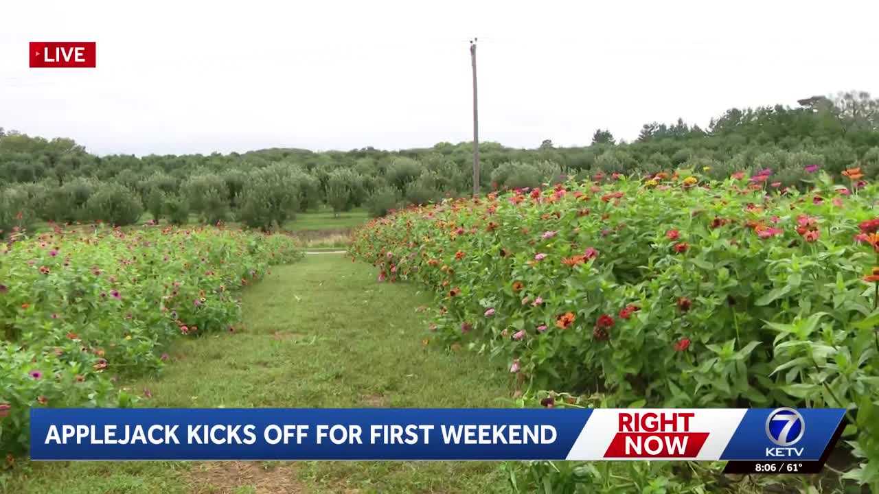 ketv.com - Mary Regli - Pick flowers and apples down at Arbor Day Farm's annual Applejack Festival