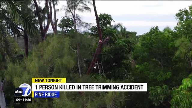 Naples landscaper dies in tree after being struck by branch - Vimarsana News