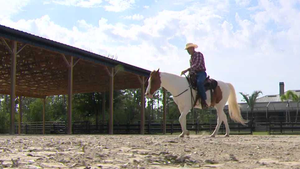An 82-year-old equestrian’s secret to staying young