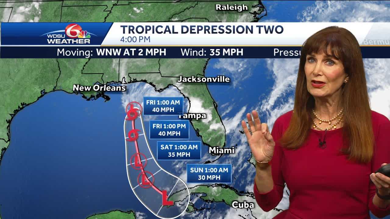 Tropical Depression 2 Forms In Gulf Of Mexico