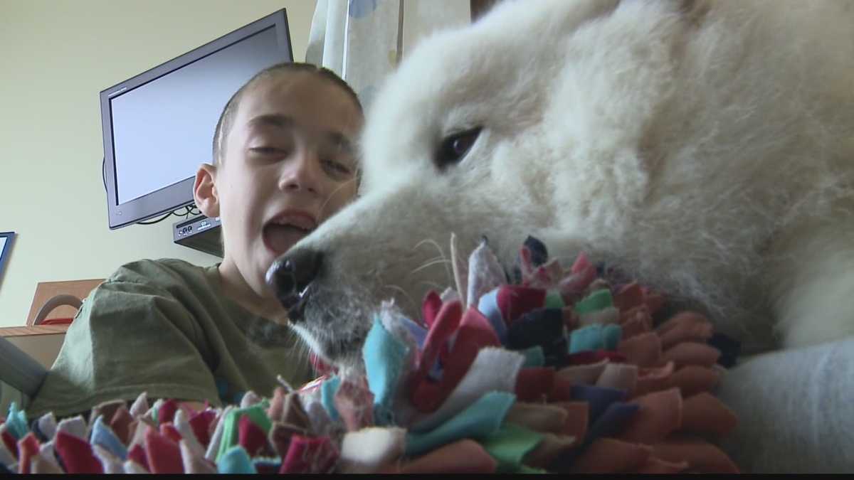 Therapy dog lifts spirits at Children's Hospital