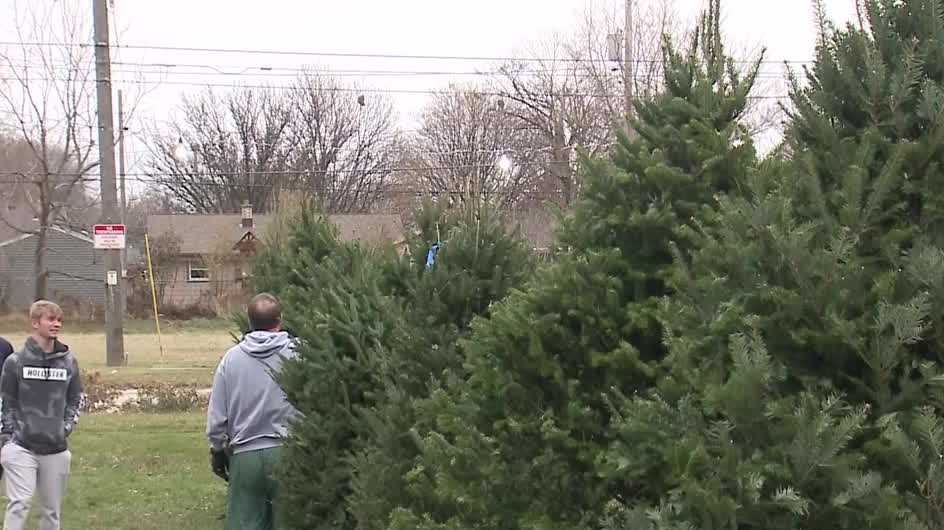 Christmas tree shortage reaches southeast Wisconsin