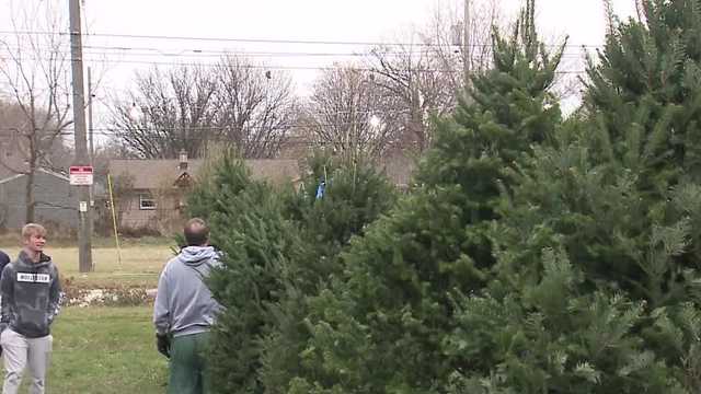 Christmas tree shortage reaches southeast Wisconsin - Vimarsana News