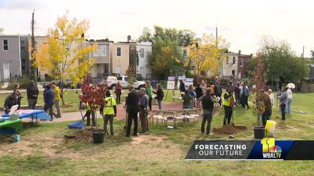 $7.7M grant delivers 40K new trees to 36 underserved communities - Vimarsana News