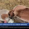 Consumer Reports tests the best chocolate ice cream brands