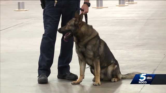 Explosive-detection K-9s receive training in Oklahoma City - Vimarsana News