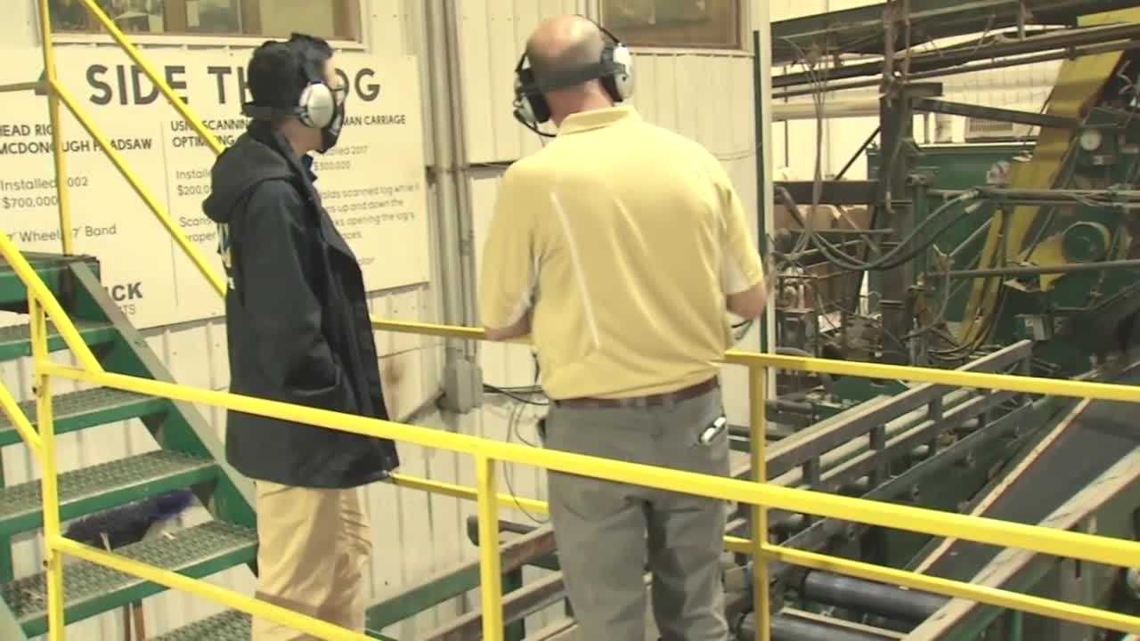 Iowa hardwood processing facility resumes popular tours - Vimarsana News