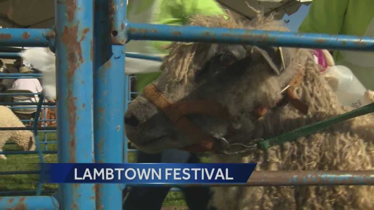 Lambtown Festival kicks off in Dixon