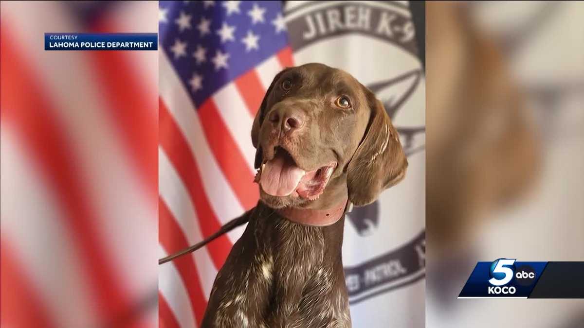 Lahoma police add K9s to force due to increase in drug movement