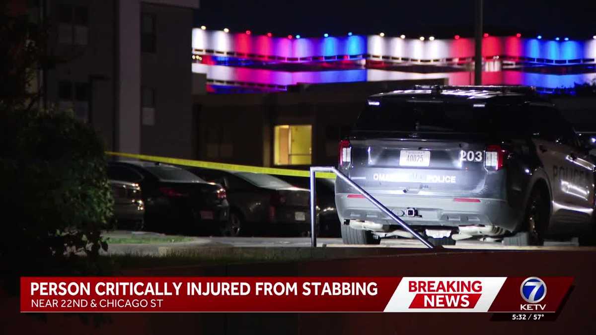 Assault News Image
