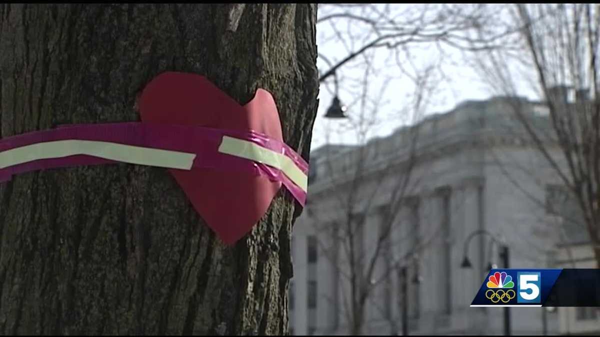 Group hopes to save trees from City Hall Park redevelopment