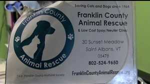 Future still unclear in animal abuse case