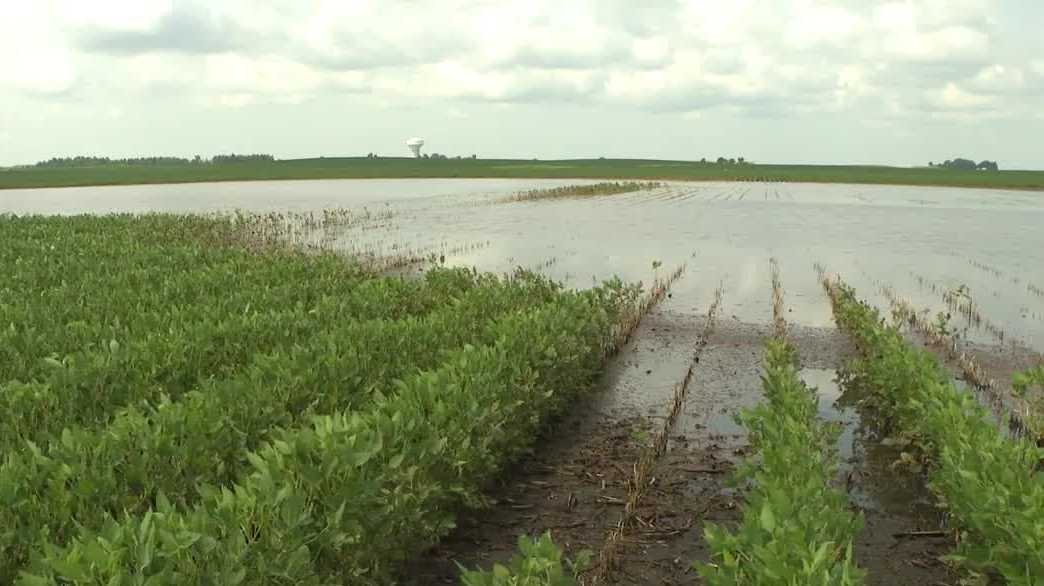 Heavy rains leave Ankeny farmers facing crop losses