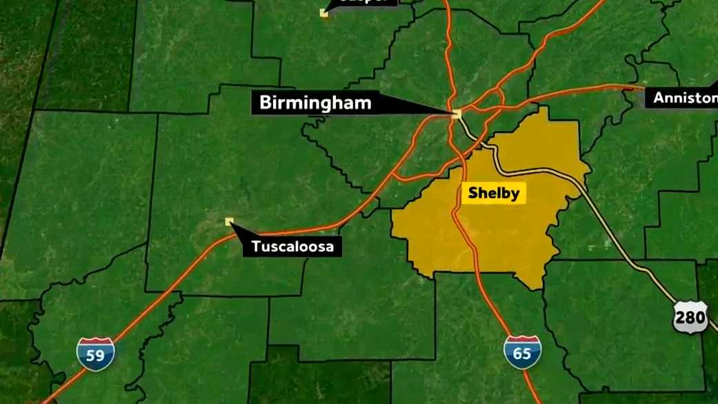 Juvenile black bear spotted near Shelby County condo sparks social media buzz in Alabama