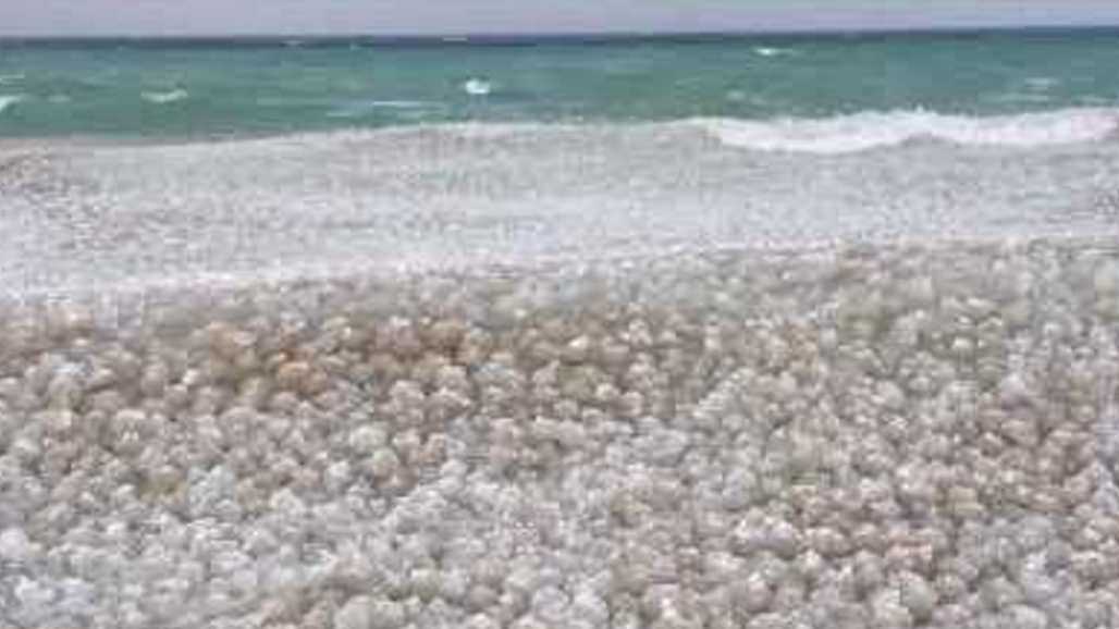 Video shows small ice balls formed in Lake Michigan