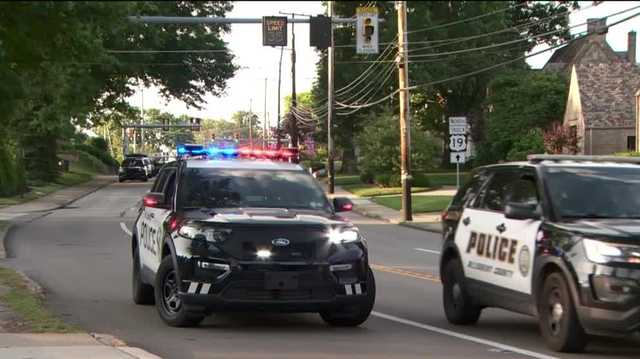 Mt. Lebanon home hit by swatting call - Vimarsana News