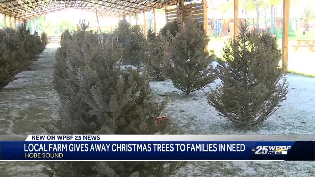 Martin County farm gives away Christmas trees to families in need