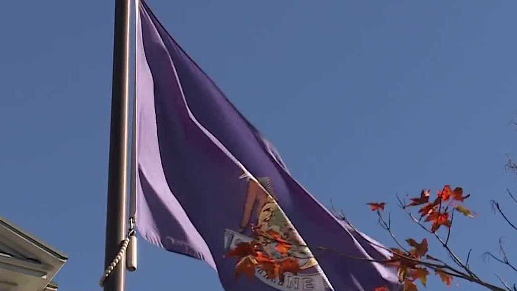 How much will it cost to change the state flag?