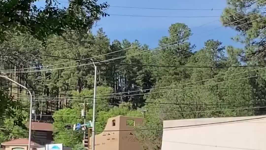 Wild horse crossing doesn't stop in Ruidoso