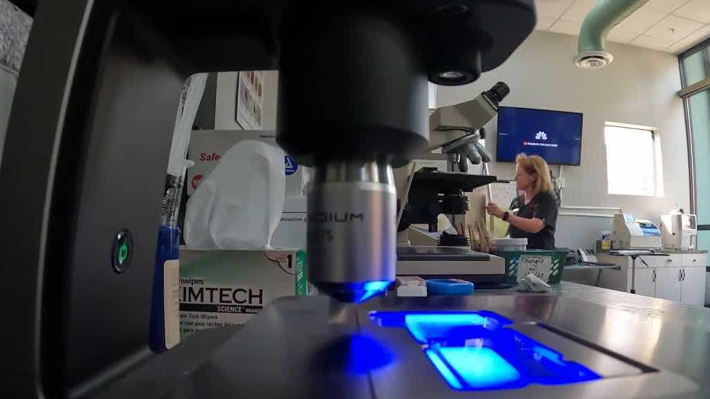 Local veterinarians are using AI to treat your pets