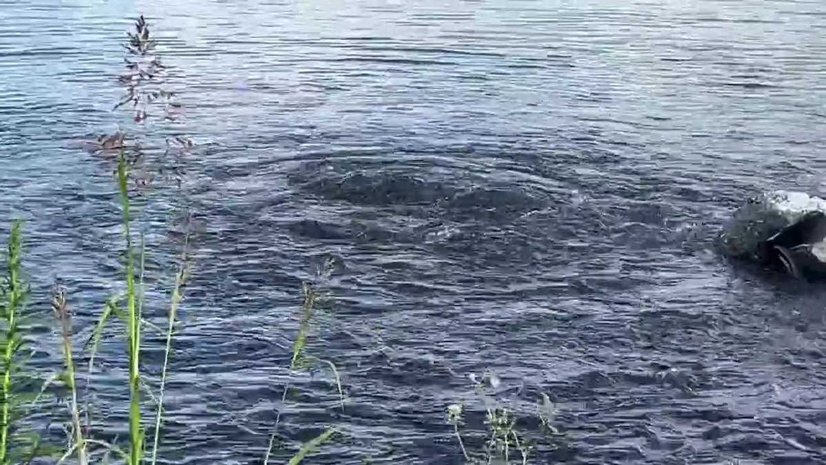 SWBNO crews responding to sewer main break discharging into Industrial Canal near Florida Ave.