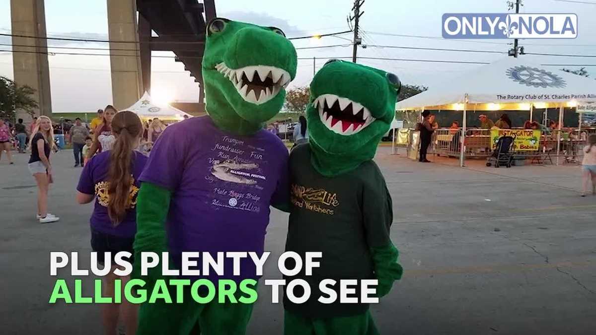 Have you been to the Alligator Festival in St. Charles Parish?