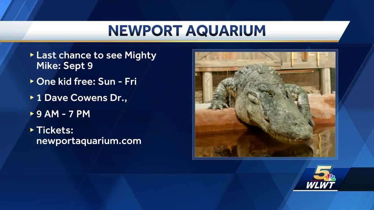 Newport Aquarium events