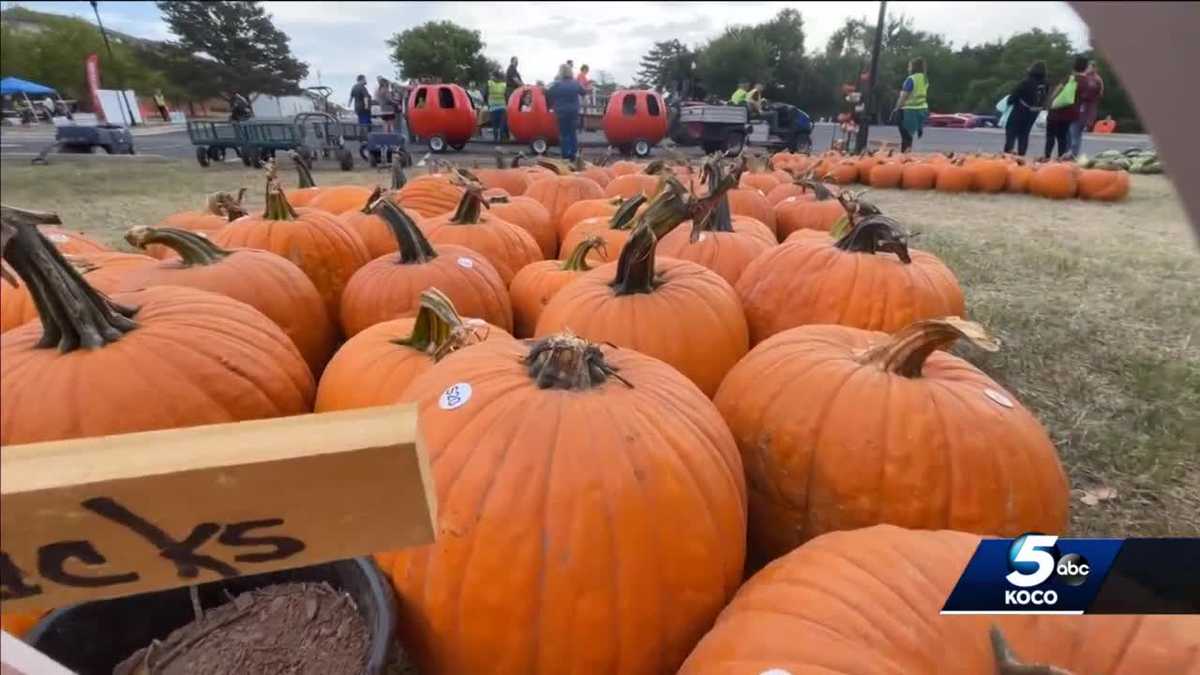 Oklahoma pumpkin patch offers fall fun