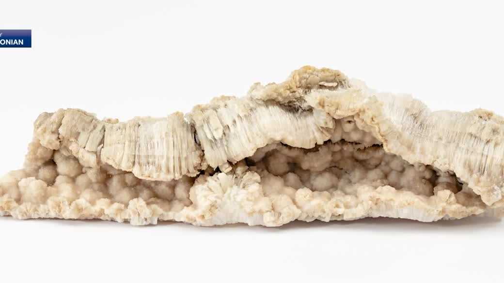 Piece of Mammoth Cave to be on display at Smithsonian for America's 250th birthday