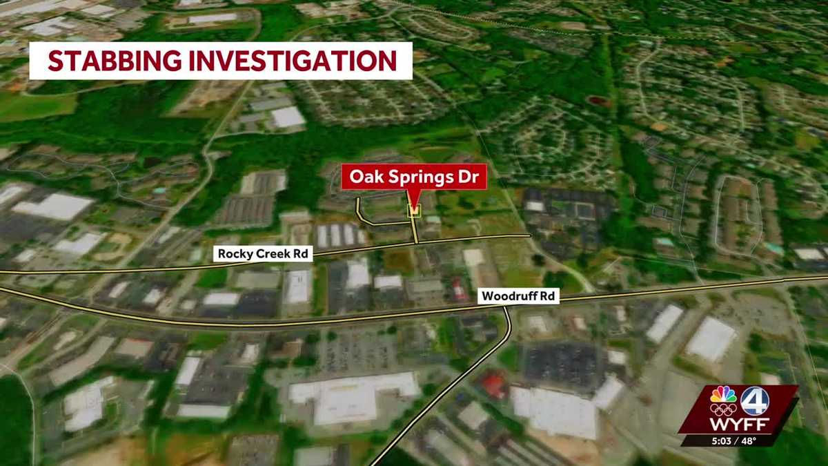 Suspect in custody after Friday night stabbing