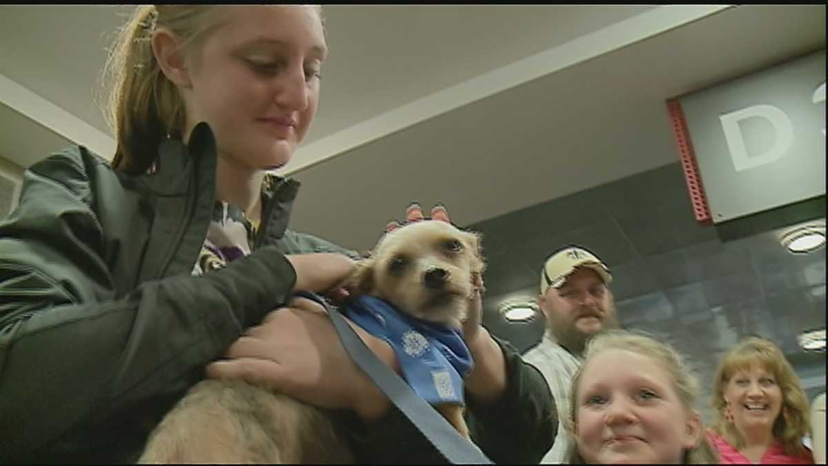 Dog reunited with family after being lost for four years