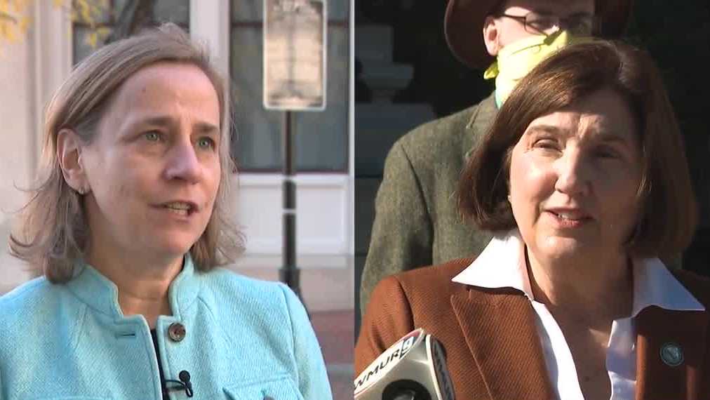 Democratic candidates for NH governor call for new gun laws