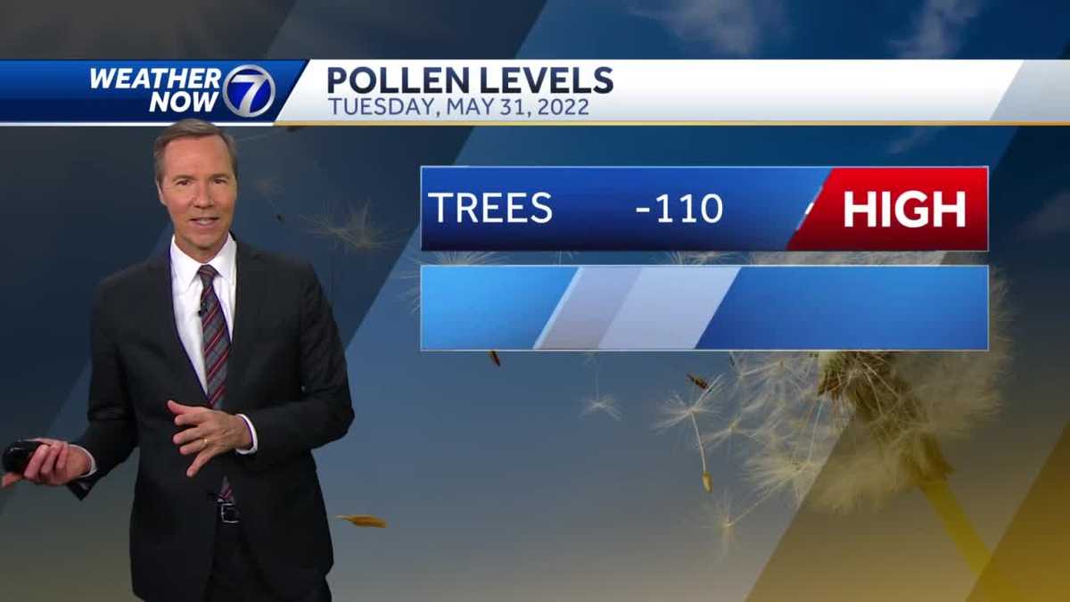 high-pollen-levels