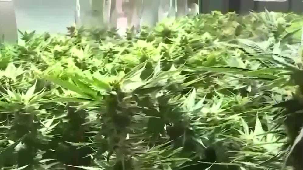 House passes bill legalizing marijuana in NH