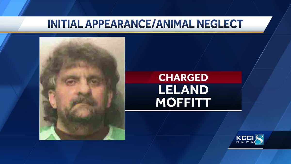 Man facing 15 counts of animal neglect appears in court