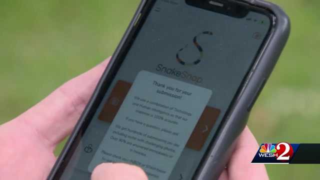 Snake Snap app helps you identify snakes - Vimarsana News