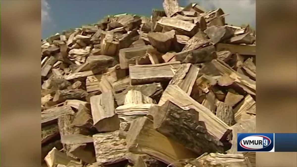 Grow It Green Keeping firewood free from insects
