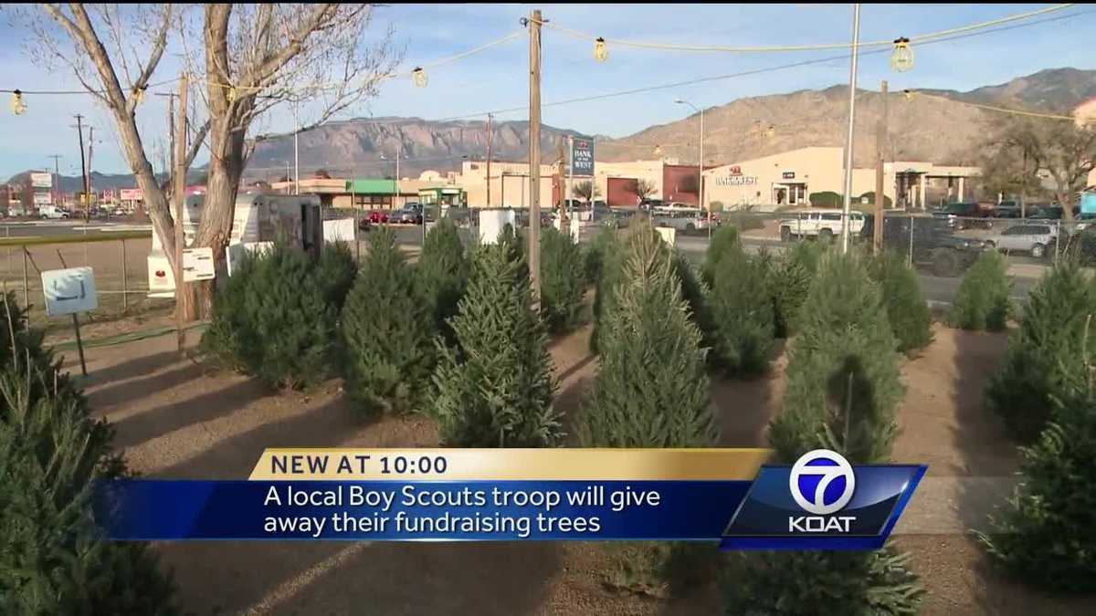 Video Boy Scouts Christmas trees