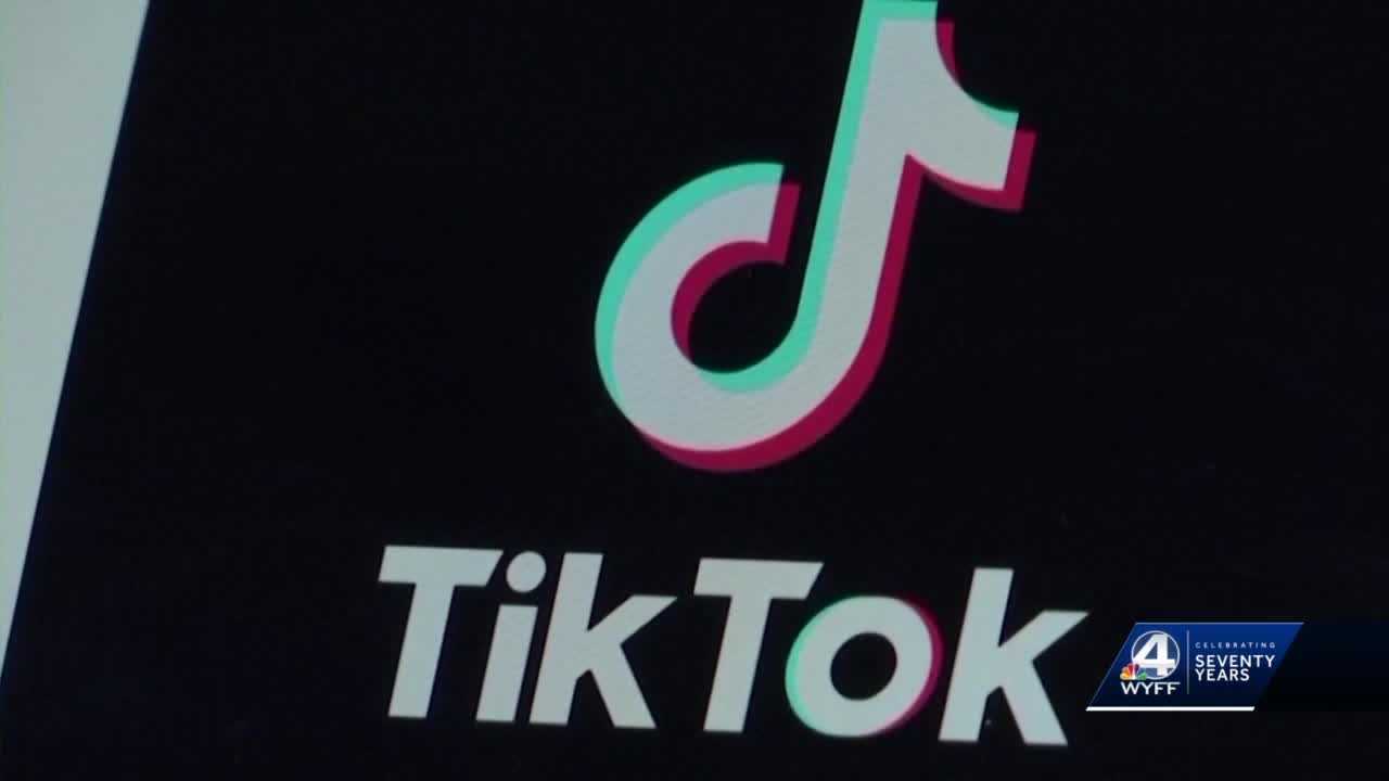 Greenville: Is TikTok truly a cybersecurity threat? - Vimarsana News
