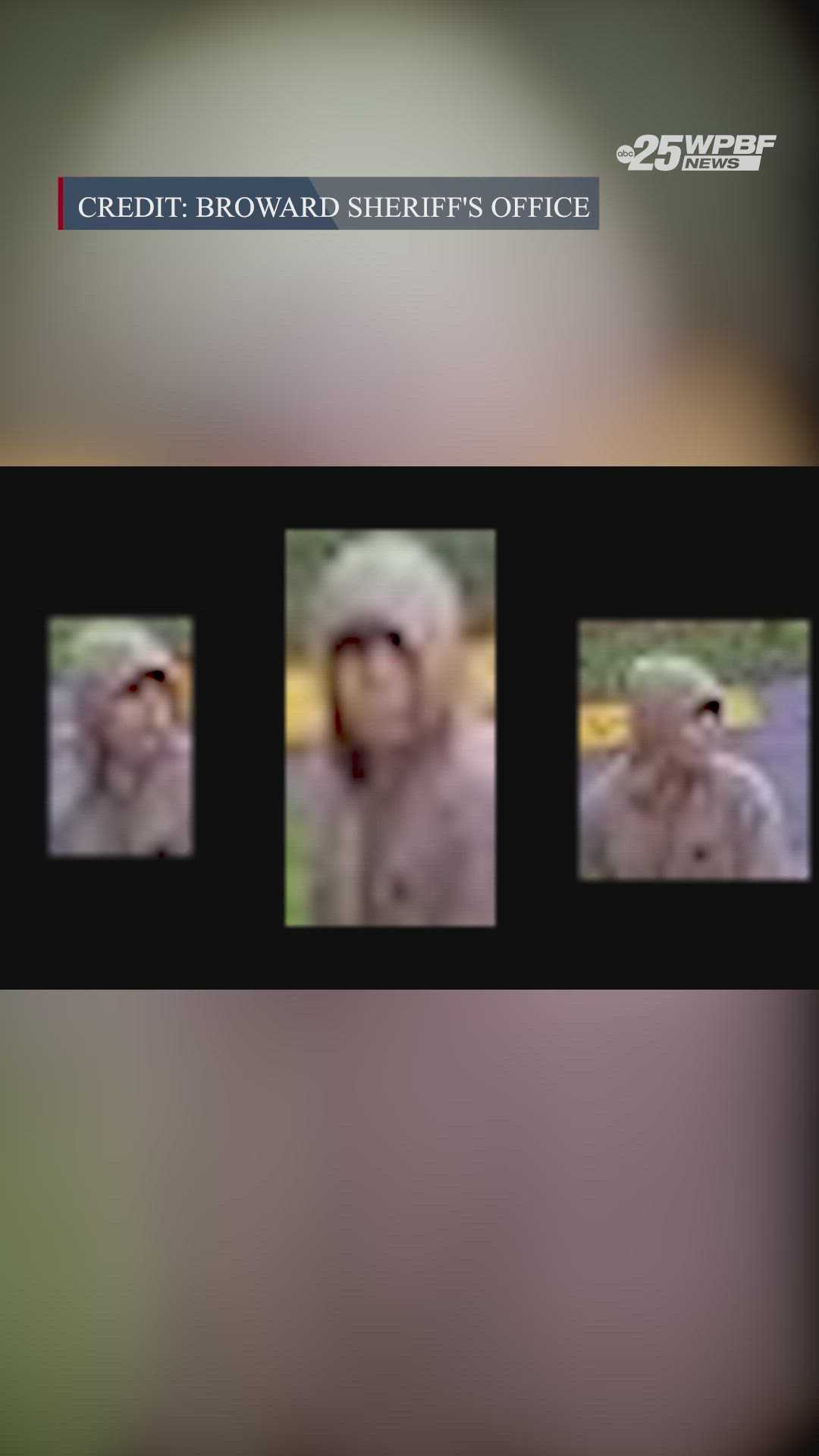 Teen arrested in Weston attempted sexual battery case