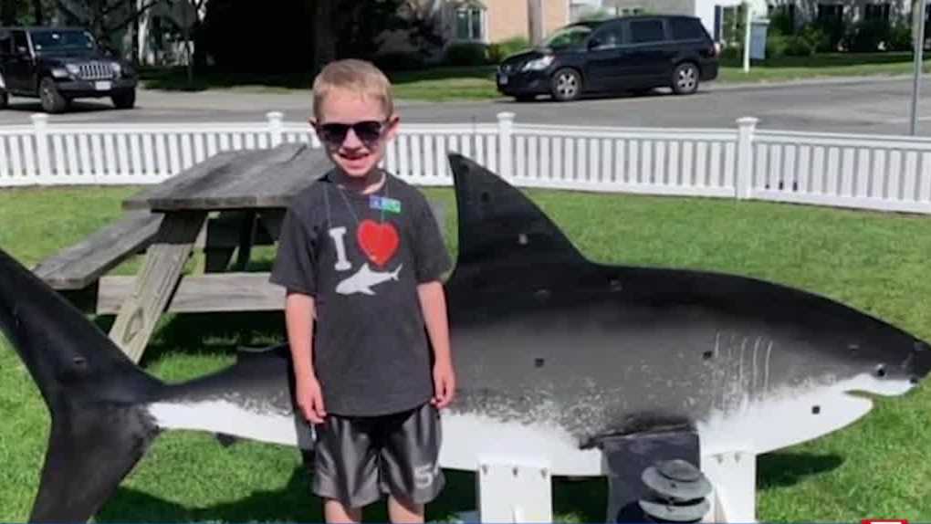 Meet the 3rd grader raising money for shark research