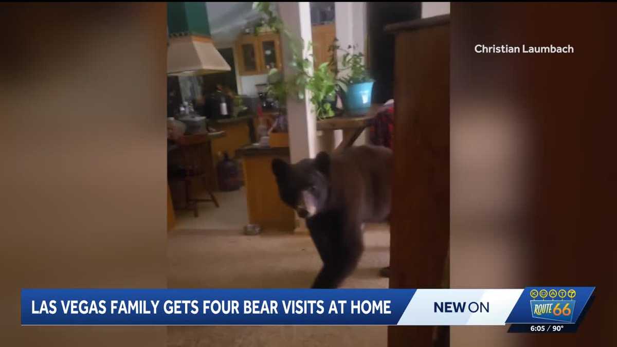 Bear enters Las Vegas home several times homeowner captures all of it on video